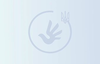 Зображення для публікації 'Виїзне засідання Тимчасової спеціальної комісії Верховної Ради України з питань правового статусу'